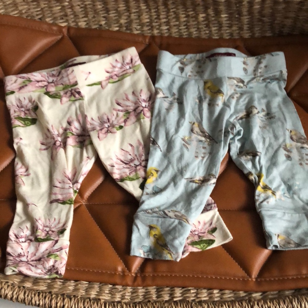 Milk barn leggings 6-12 months.  100% bamboo